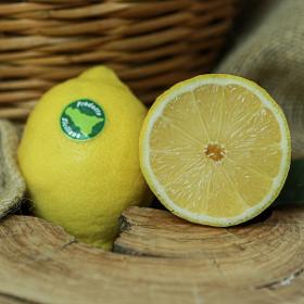 Limone Primofiore