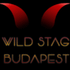 WILD STAG BUDAPEST