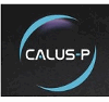 CALUS-P.PL  PRODUCENT STOJAKOW ROWEROWYCH