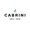 PAOLO CABRINI - CONSULENTE SEO E WEB MARKETING