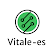 VITALE ELECTRONIC SYSTEMS
