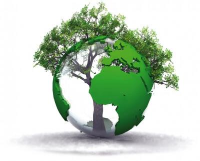 I sistemi di certificazione ambientale