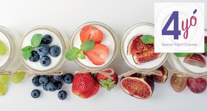 Fermenti lattici per Yogurt e Latte fermentati - 4YO'