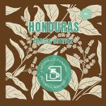 Caffè Honduras Tostatura Media