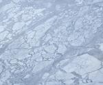 marmo Carrara Venato