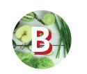 Vitamine del gruppo B: B1, B2, PP (B3), B6, H (B8), B9, B12