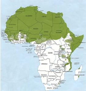 Traduzione a lingue africane