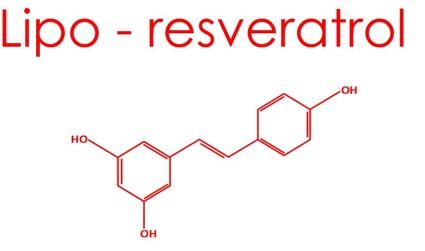 Lipo-Resveratrolo