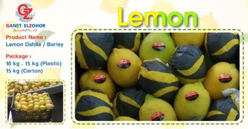 Limone biologico