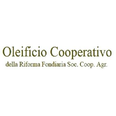 OLEIFICIO COOPERATIVO DELLA RIFORMA FONDIARIA DI LEVERANO