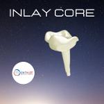 inlay core 