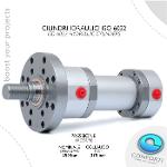 ISO 6022 HYDRAULIC CYLINDERS - DP SERIES